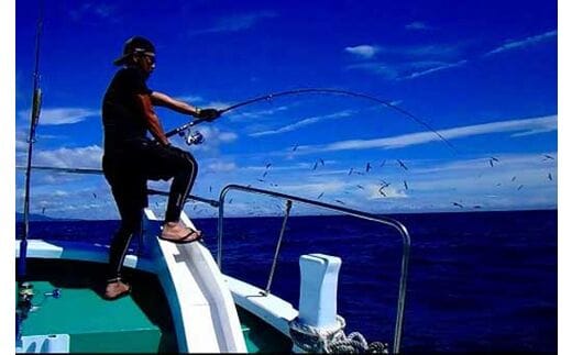 【マグロキャストチャーター】第八大洋丸 1日チャーター券(大人6名迄) /まぐろ 鮪 【tym100】