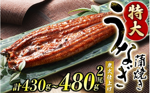 1尾で約215g～240gのビッグサイズ うなぎ蒲焼 2尾 計約430g～480g（タレ・山椒付き） 中国産 鰻 うなぎ うなぎの蒲焼 炭火焼き 炭火 特大サイズ【nks700B】