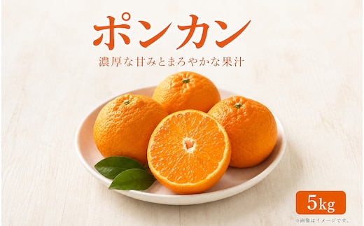 紀州和歌山有田産ポンカン 5kg※2027年1月下旬頃〜2027年2月上旬頃に順次発送（お届け日指定不可）【uot722】