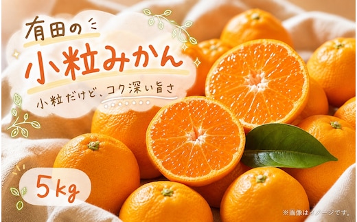 有田の小粒みかん5kg (S～3Sサイズ混合) ※2026年11月下旬～2027年1月下旬頃に順次発送予定 / みかん ミカン 蜜柑 温州みかん 柑橘 フルーツ 果物 くだもの 和歌山【uot845】 