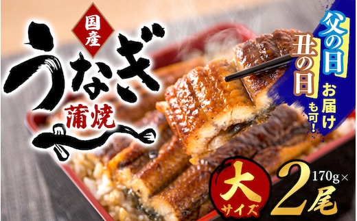 【大型サイズ】ふっくら柔らか 国産うなぎ蒲焼き 2尾/うなぎ ウナギ 鰻 うなぎ蒲焼 国産【uot302A-3】