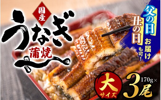 【大型サイズ】ふっくら柔らか 国産うなぎ蒲焼き 3尾/うなぎ ウナギ 鰻 うなぎ蒲焼 国産 【uot303A-3】