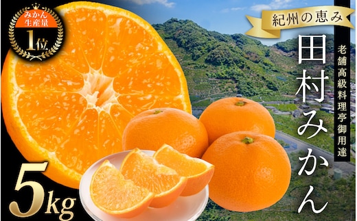 高級ブランド 田村みかん 5kg【予約】※2026年11月下旬頃～2027年1月下旬頃に順次発送予定(お届け日指定不可)/みかん ミカン 有田みかん ブランドみかん 柑橘 果物 フルーツ 旬 先行 予約【uot504B】