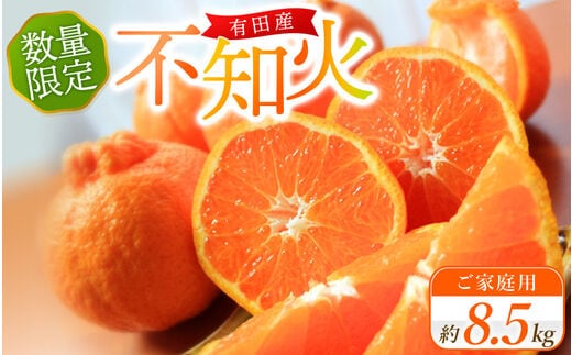 訳あり【ご家庭用訳あり】紀州有田産不知火(しらぬひ) 約8.5kg 【予約】※2026年2月中旬頃～2026年3月中旬頃に順次発送予定(お届け日指定不可)【uot507A】