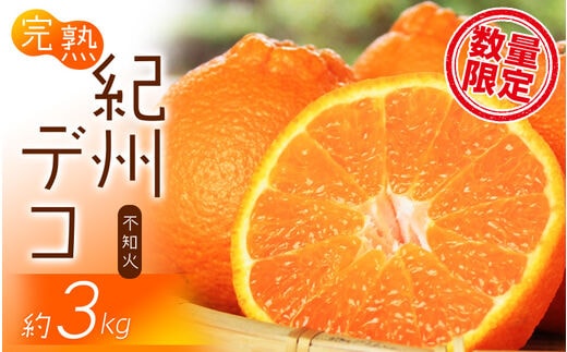 果肉プリプリ♪ 完熟紀州デコ(不知火) 約3kg ＜2026年2月下旬頃〜2026年3月中旬頃発送予定＞【uot706A】