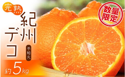 果肉プリプリ♪ 完熟紀州デコ(不知火) 約5kg ＜2026年2月下旬頃〜2026年3月中旬頃発送予定＞【uot707A】