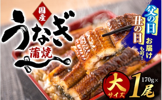 【大型サイズ】ふっくら柔らか 国産うなぎ蒲焼き 約2人前 化粧箱入/うなぎ ウナギ 鰻 うなぎ蒲焼 国産【uot714A】