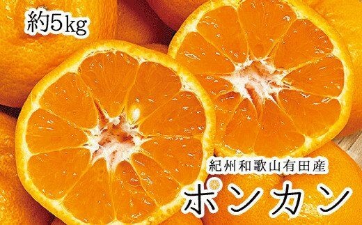 紀州和歌山有田産ポンカン 5kg※2026年2月上旬頃~2月下旬頃に順次発送（お届け日指定不可）【uot722】