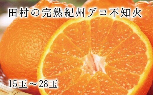 高級ブランド田村の完熟紀州デコ(不知火) ※2026年2月下旬頃〜2026年3月中旬頃に順次発送予定(お届け日指定不可) 【uot731】