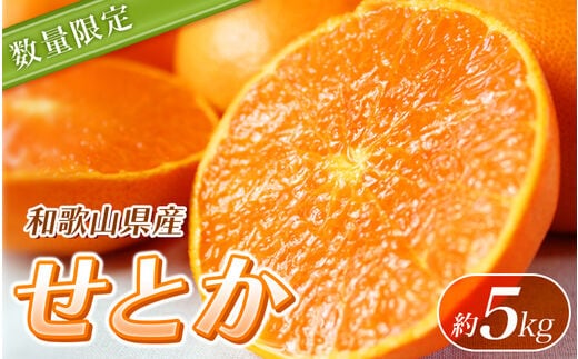 【柑橘の大トロ】 せとか 訳あり【ご家庭用訳あり】紀州和歌山産 約5kg 【先行予約】※2027年2月中旬頃〜3月中旬頃に順次発送予定(お届け日指定不可) 訳ありせとか 訳ありみかん みかん 訳アリ 【uot748A】