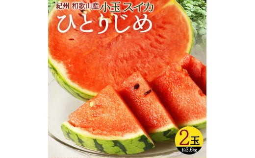 紀州和歌山産 小玉スイカ「ひとりじめ」2玉【予約】 ※2026年6月上旬頃～7月上旬頃に順次発送予定(お届け日指定不可) スイカ すいか 果物 くだもの フルーツ【uot779】
