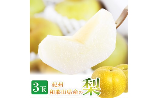 紀州和歌山産の梨 3玉 化粧箱入※2026年8月中旬頃〜2026年9月上旬頃に順次発送 ※日付指定不可 梨 なし ナシ 果物 くだもの フルーツ 甘い【uot787】