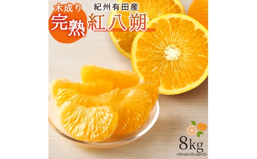【先行予約】紀州有田産木成り完熟紅八朔８kg ※2027年2月下旬頃〜3月中旬頃に順次発送予定（お届け日指定不可）/和歌山 有田 みかん フルーツ【uot795】