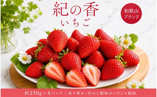 【来シーズン先行予約】紀州和歌山ブランドいちご「紀の香」約250g×4P※2027年1月～2027年3月頃順次発送（お届け日指定不可）【uot868】