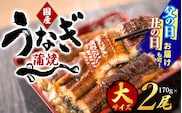 【大型サイズ】ふっくら柔らか 国産うなぎ蒲焼き 2尾/うなぎ ウナギ 鰻 うなぎ蒲焼 国産【uot302A-3】