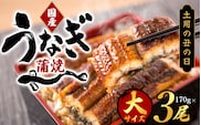 【土用の丑の日までにお届け！】【大型サイズ】国産 大型サイズ ふっくら柔らか 国産うなぎ蒲焼き 3尾 化粧箱入 先行予約 国産 うなぎ ウナギ 鰻 蒲焼 土用の丑の日 丑の日【uot303A-dy】