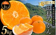高級ブランド 田村みかん 5kg【予約】※2025年11月下旬頃〜2026年1月下旬頃に順次発送予定(お届け日指定不可)/みかん ミカン 有田みかん ブランドみかん 柑橘 果物 フルーツ 旬 先行 予約【uot504A】