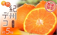 果肉プリプリ♪　完熟紀州デコ(不知火) 約5kg ＜2026年2月下旬頃〜2026年3月中旬頃発送予定＞【uot707A】