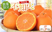 先行予約 紀州有田産不知火(しらぬひ) 約5kg ＜2026年2月中旬頃〜2026年3月中旬頃発送＞ みかん 柑橘類【uot709A】