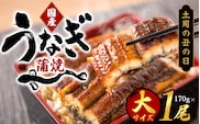 【土用の丑の日までにお届け！】【大型サイズ】国産 大型サイズ ふっくら柔らか 国産うなぎ蒲焼き 1尾 約2人前 化粧箱入 先行予約 国産 うなぎ ウナギ 鰻 蒲焼 土用の丑の日 丑の日【uot714A-dy】