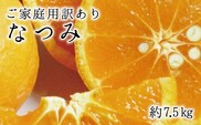 訳あり【ご家庭用訳アリ】初夏のみかん なつみ7.5kg　※2026年4月中旬頃〜2026年4月下旬頃順次発送予定(お届け日指定不可)  / 果物 くだもの 柑橘 フルーツ【uot733A】