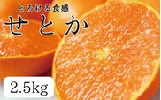 とろける食感 ジューシー柑橘 せとか 約2.5kg みかん 蜜柑 柑橘 オレンジ 果物 フルーツ 国産 ※2026年2月上旬頃～2026年2月下旬頃に順次発送予定【uot789A】