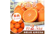 【先行予約】紀州有田産不知火(しらぬひ) 2.5kg　※2026年2月中旬頃〜2026年3月中旬頃に順次発送予定（お届け日指定不可）/みかん 不知火 和歌山 フルーツ 有田【uot794】