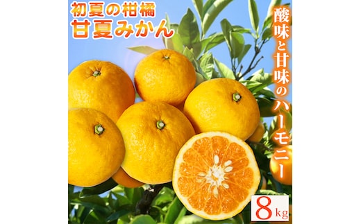 訳あり【ご家庭用訳あり】紀州有田産 すっきり爽やか 甘夏みかん 8kg ※2026年3月上旬頃～2026年3月下旬頃に順次発送予定 / 甘夏 あまなつ みかん ミカン 蜜柑 温州みかん 柑橘 フルーツ 果物 くだもの 和歌山【uot847】