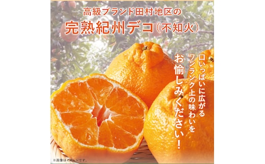 高級ブランド田村の完熟紀州デコ(不知火)約8kg＜2027年3月から順次発送＞ / 果物 フルーツ【uot867】