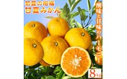 訳あり【ご家庭用訳あり】紀州有田産 すっきり爽やか 甘夏みかん 8kg ※2026年3月上旬頃～2026年3月下旬頃に順次発送予定 / 甘夏 あまなつ みかん ミカン 蜜柑 温州みかん 柑橘 フルーツ 果物 くだもの 和歌山【uot847】