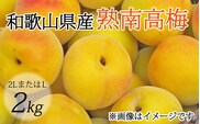 【梅干・梅酒用】（2LまたはL－2Kg）熟南高梅＜2025年6月上旬～7月上旬ごろに順次発送予定＞【art010A】