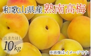 【梅干・梅酒用】（2LまたはL－10Kg）熟南高梅＜2025年6月上旬～7月上旬ごろに順次発送予定＞【art011A】