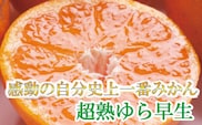 ＜11月より発送＞厳選 超熟有田みかん1kg+30g(傷み補償分)【自分史上一番みかん】【光センサー選果】【ikd003C】