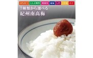 【贈答用】紀州南高梅 食べ比べセット 500g×2　（はちみつ・こんぶ風味）【inm900-9B】