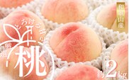【先行予約】【厳選】あふれる果汁で口いっぱい！ 和歌山県産 桃 約2kg（6個~9個） 2025年6月末頃～2025年8月末頃に順次発送予定（お届け日指定不可）/ 和歌山 桃 モモ フルーツ もも 白桃 果物 くだもの【kgr001】【kgr001】