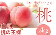 【予約受付】桃の王様 白鳳 <特秀品> 約2kg（6個~9個） 2025年6月末頃～2025年7月末頃に順次発送予定（お届け日指定不可）/ 桃 もも 白鳳 フルーツ 果物 くだもの 【kgr009】【kgr009】