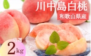 【予約受付】こだわり農家厳選 川中島白桃 和歌山産の桃 <大玉特秀品> 約2kg（6個~9個） 2025年8月初旬頃～2025年8月末頃に順次発送予定（お届け日指定不可）/ 桃 もも 川中島 白桃 フルーツ 果物 くだもの 【kgr011】