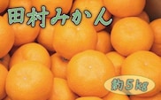 田村みかん約5kg【kjk200】