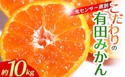 【2026年11月発送予約分】＼光センサー選別／農家直送 こだわりの完熟有田みかん 約10kg＋150g(傷み補償分) 【ご家庭用】【11月発送】有機質肥料100% 有田みかん みかん ミカン 蜜柑 柑橘 果物 フルーツ 甘い 温州みかん 先行予約【nuk101-11C】