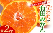 【2026年12月発送予約】 ご家庭用 こだわりの有田みかん 約2kg 光センサー選別 農家直送 / みかん ミカン 有田みかん 温州みかん 柑橘 フルーツ 果物 くだもの 旬 人気 みかん先行予約 家庭用 和歌山【nuk159-12A】