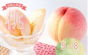 【先行予約】 和歌山県産 の 美味しい 桃 （5～8玉入り）【2026年6月中旬頃から8月上旬頃発送予定】 和歌山 もも モモ 桃 ギフト 贈り物 プレゼント 夏ギフト 果物 フルーツ 人気 産地直送 和歌山県 お取り寄せ【mat101D】