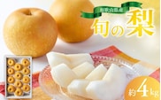 【先行予約受付】和歌山県産の美味しい梨 約4kg （10～13玉入り）【2026年8月中旬頃から9月中旬頃に順次発送予定】【mat102C】