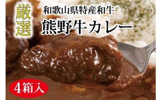特選黒毛和牛 熊野牛カレー ４箱【mtf102】