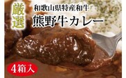 特選黒毛和牛 熊野牛カレー ４箱【mtf102】