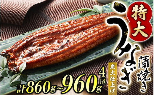 うなぎ蒲焼 4尾 計約860g～960g （タレ・山椒付き） 1尾約215g～240gのビッグサイズ 鰻 うなぎ うなぎの蒲焼 炭火焼き 炭火 中国産【nks702B】