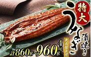 うなぎ蒲焼 4尾 計約860g～960g （タレ・山椒付き） 1尾約215g～240gのビッグサイズ 鰻 うなぎ うなぎの蒲焼 炭火焼き 炭火 中国産【nks702B】