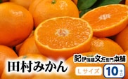 田村みかん 特選ギフト品 10kg【Lサイズ】赤秀/紀州和歌山有田郡湯浅町田村地区産 ◆2025年11月下旬～2026年1月中旬頃に順次発送(お届け日指定不可)　紀伊国屋文左衛門本舗【ntb302B】