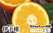 伊予柑(いよかん) 約5kg/サイズおまかせ　※2023年1月中旬～2月中旬頃に順次発送予定(お届け日指定不可)　紀伊国屋文左衛門本舗　【ntb441】