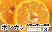 ポンカン 約8kg/サイズおまかせ　※2023年1月下旬～2月下旬頃に順次発送予定(お届け日指定不可)　紀伊国屋文左衛門本舗　【ntb450】
