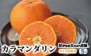 カラマンダリン 約5kg/サイズおまかせ　※2023年4月上旬～5月上旬頃に順次発送予定(お届け日指定不可)　紀伊国屋文左衛門本舗　【ntb470】